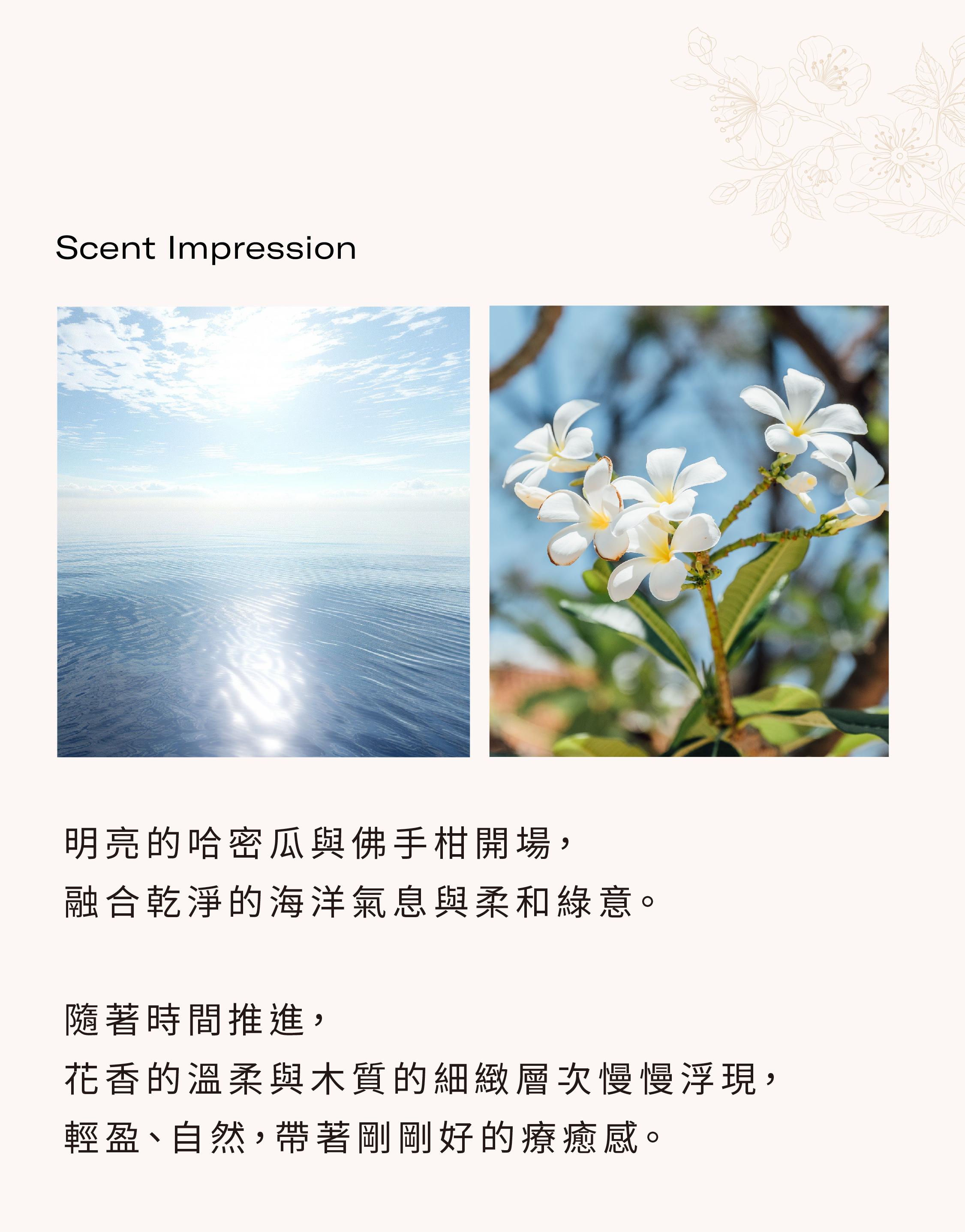 香調筆記
