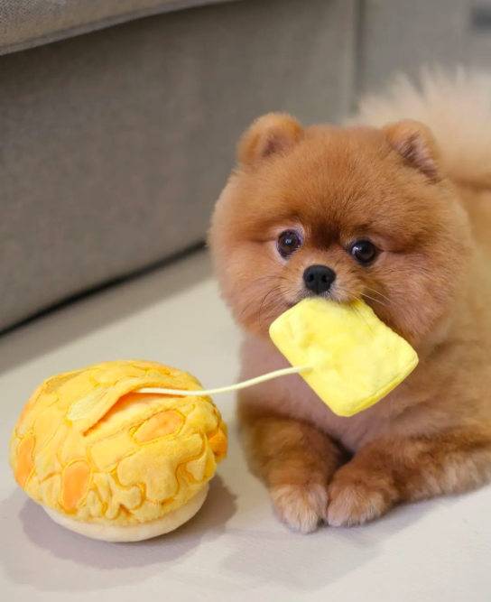 PP Lab - 菠蘿包連紙袋藏食玩具