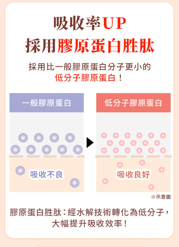 產品採用低分子膠原蛋白胜肽，透過圖解對比一般膠原蛋白，強調小分子經水解技術轉化後吸收率大幅提升。