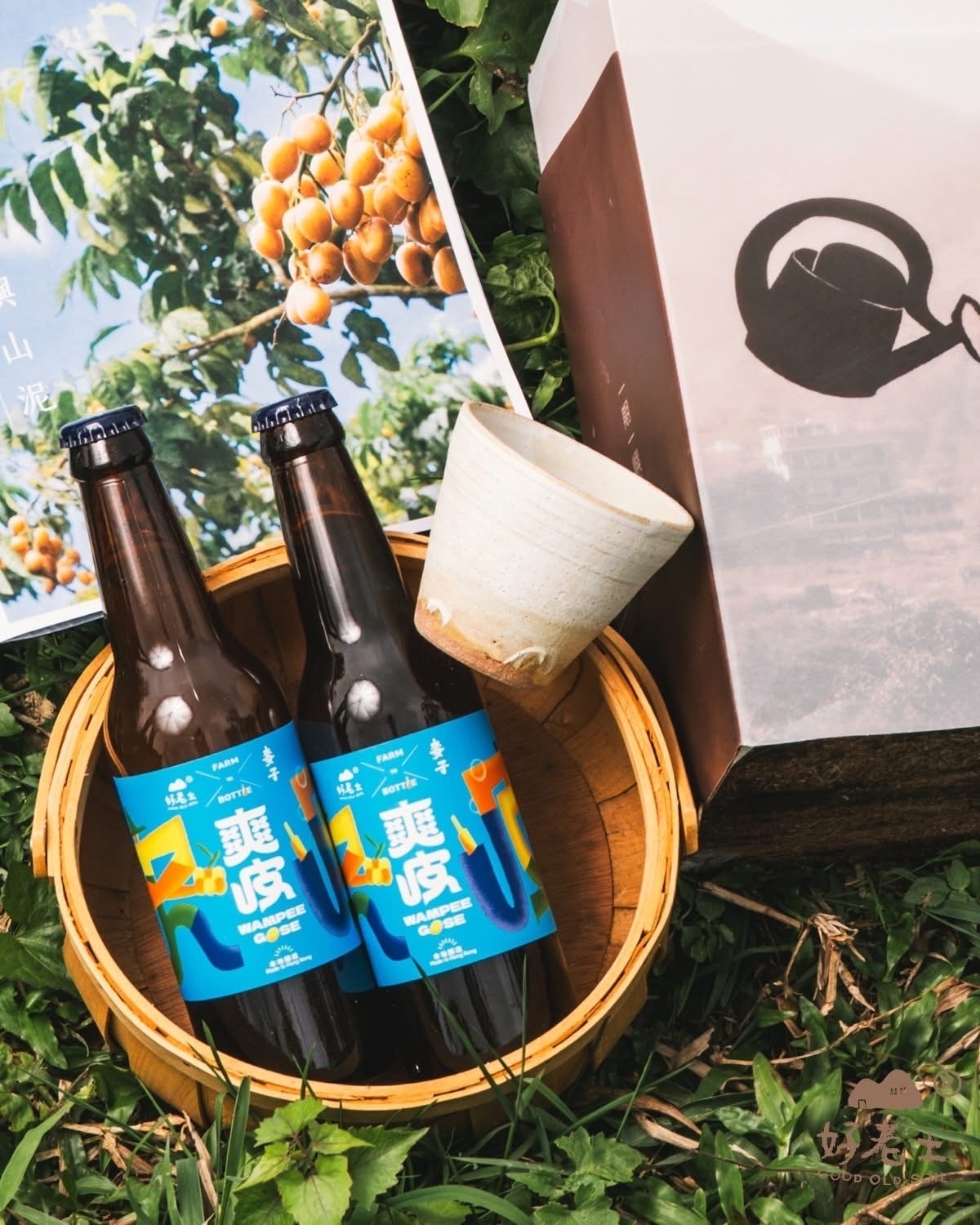 好老土X麥子｜《爽皮》大嶼雞心黃皮手工啤