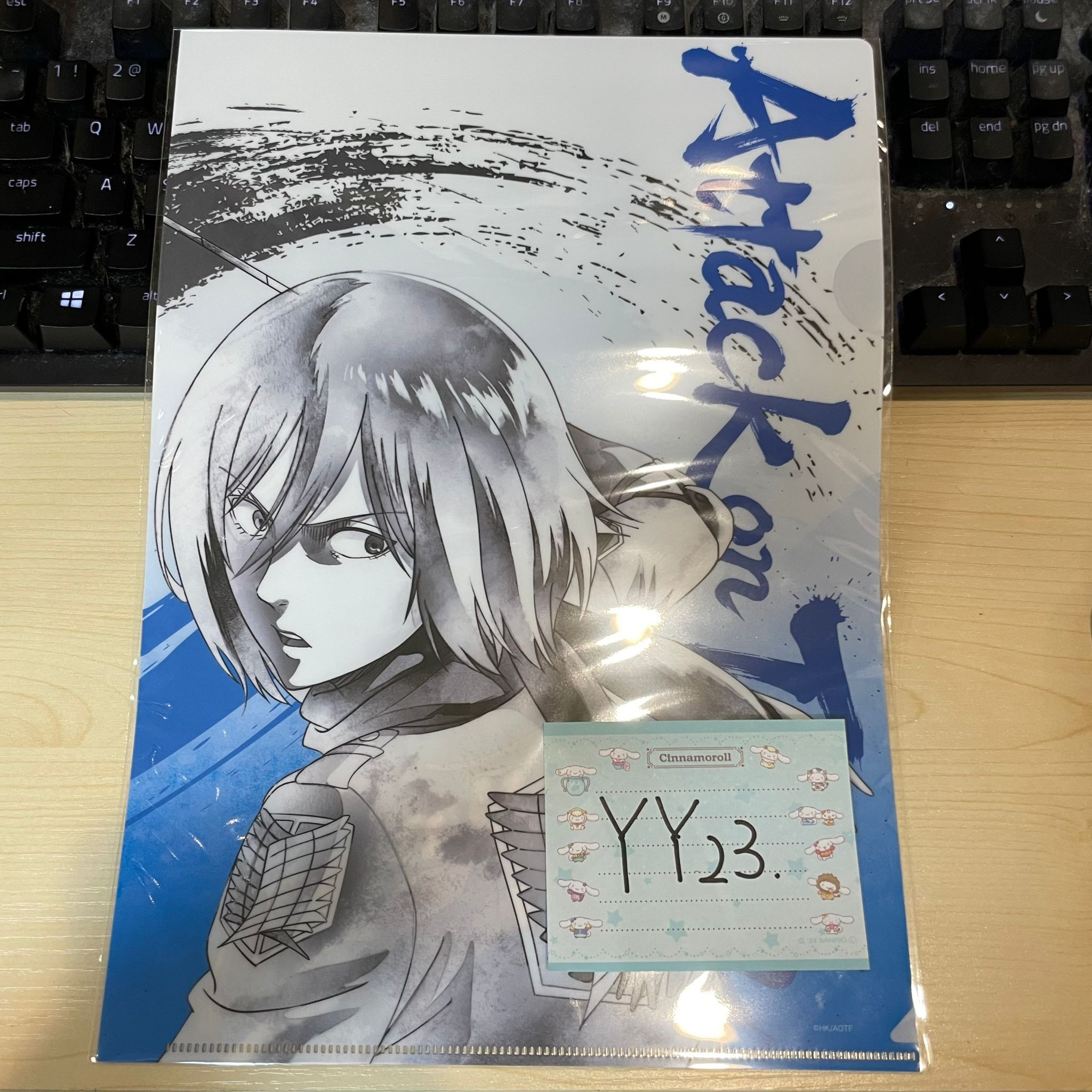 進擊的巨人 MIKASA FILE #YY23