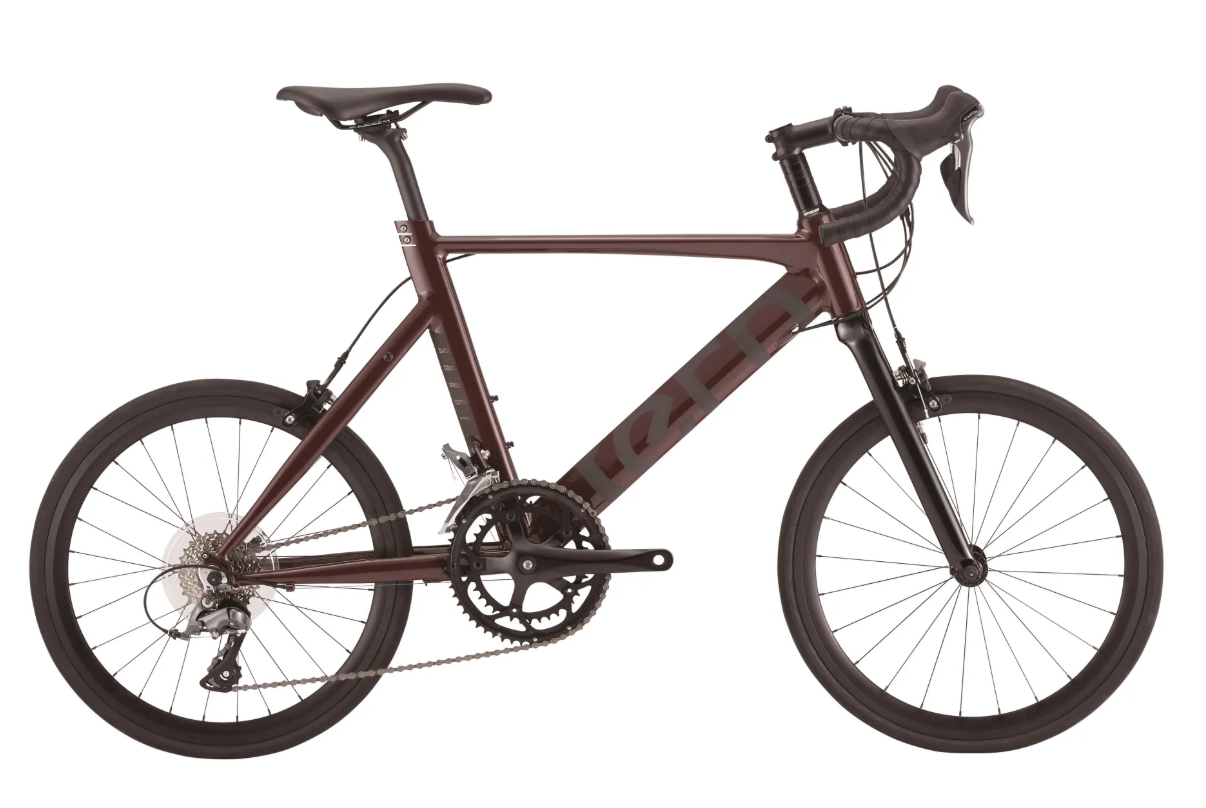 TERN ROJI BIKE 2021 SURGE 451 小輪徑