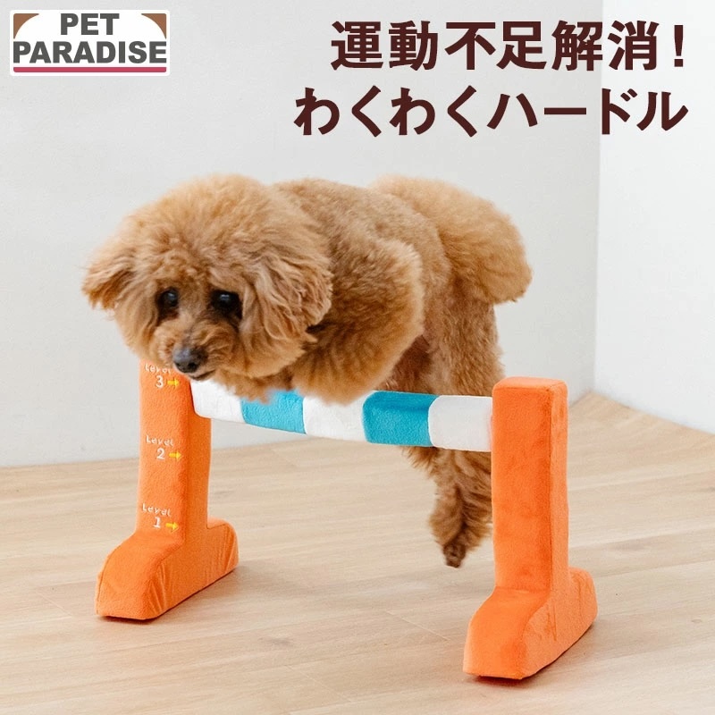 [Pet Paradise] Toy