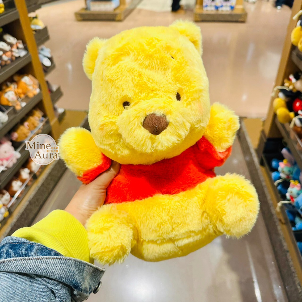 抱抱我系列 小熊維尼 Winnie the Pooh 娃娃 玩偶 -上海迪士尼樂園