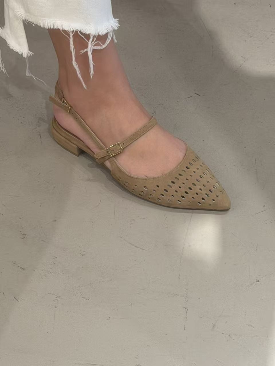 PAULINE82/C/344 TORTORA -M