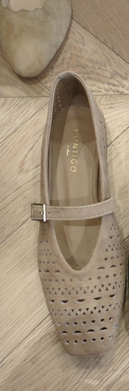 DARIA100/CA/344 TORTORA -M