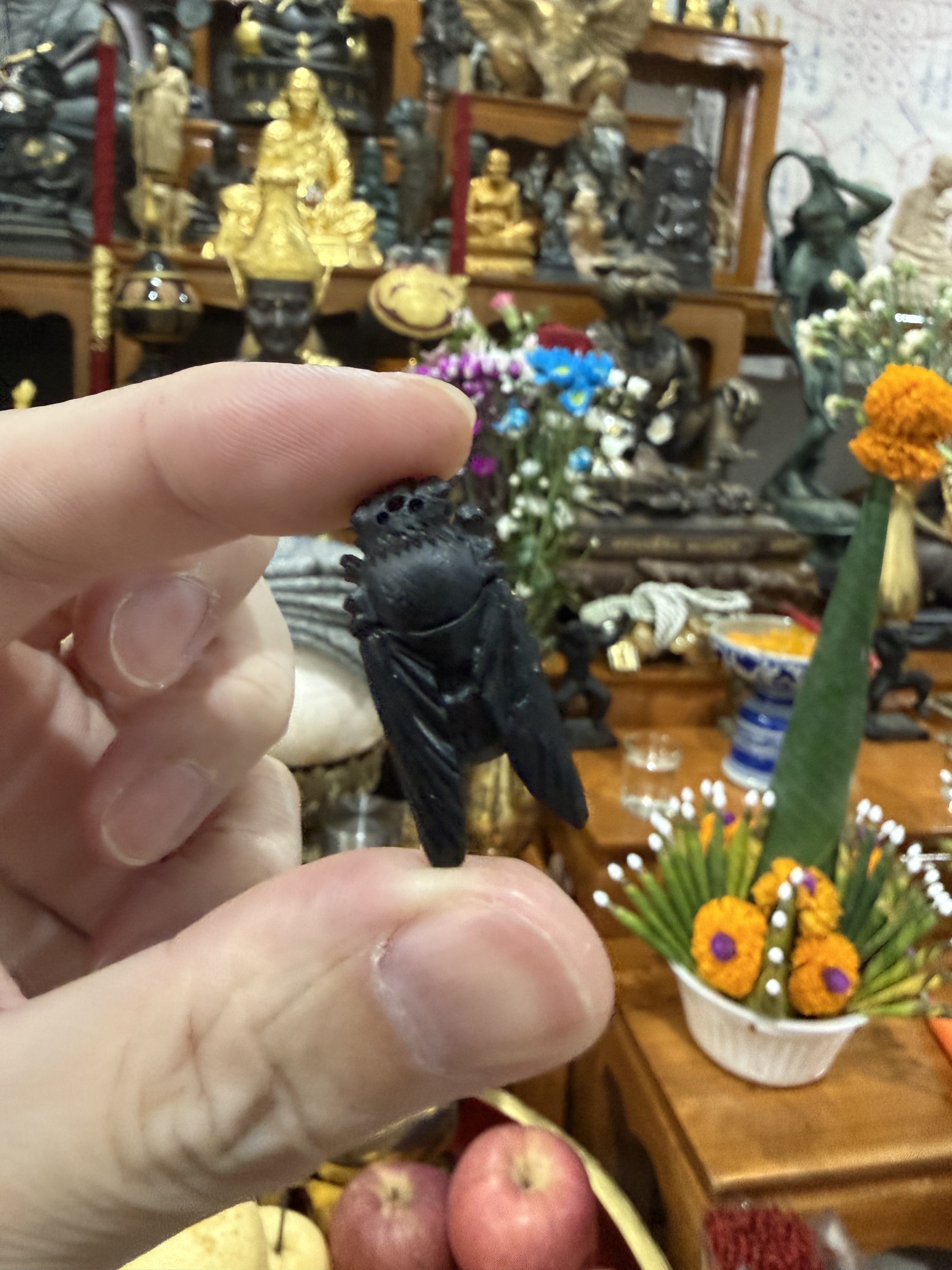 婆偷傳承 命pu（KE145）