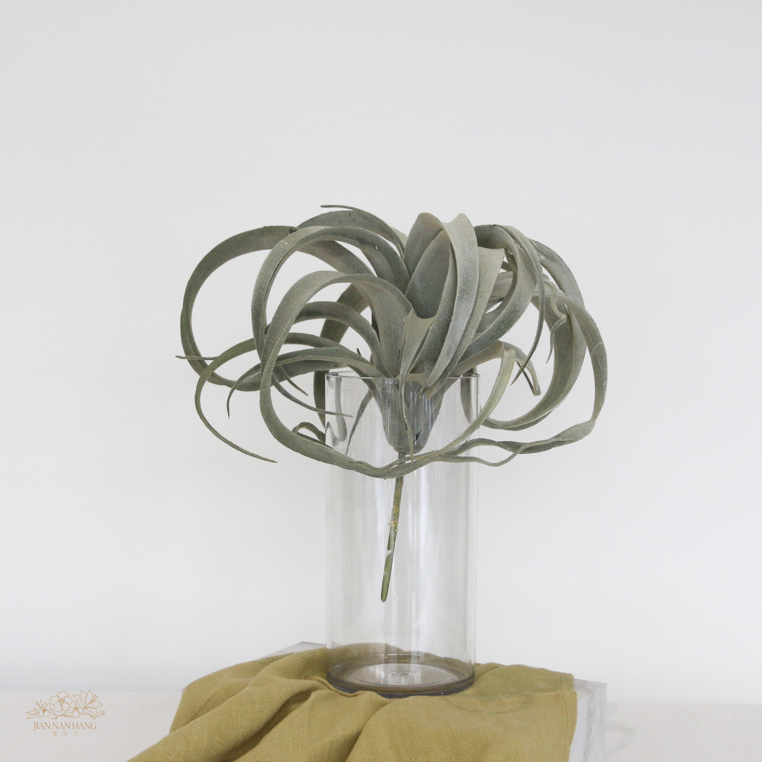 人造多肉 彎曲空氣鳳梨