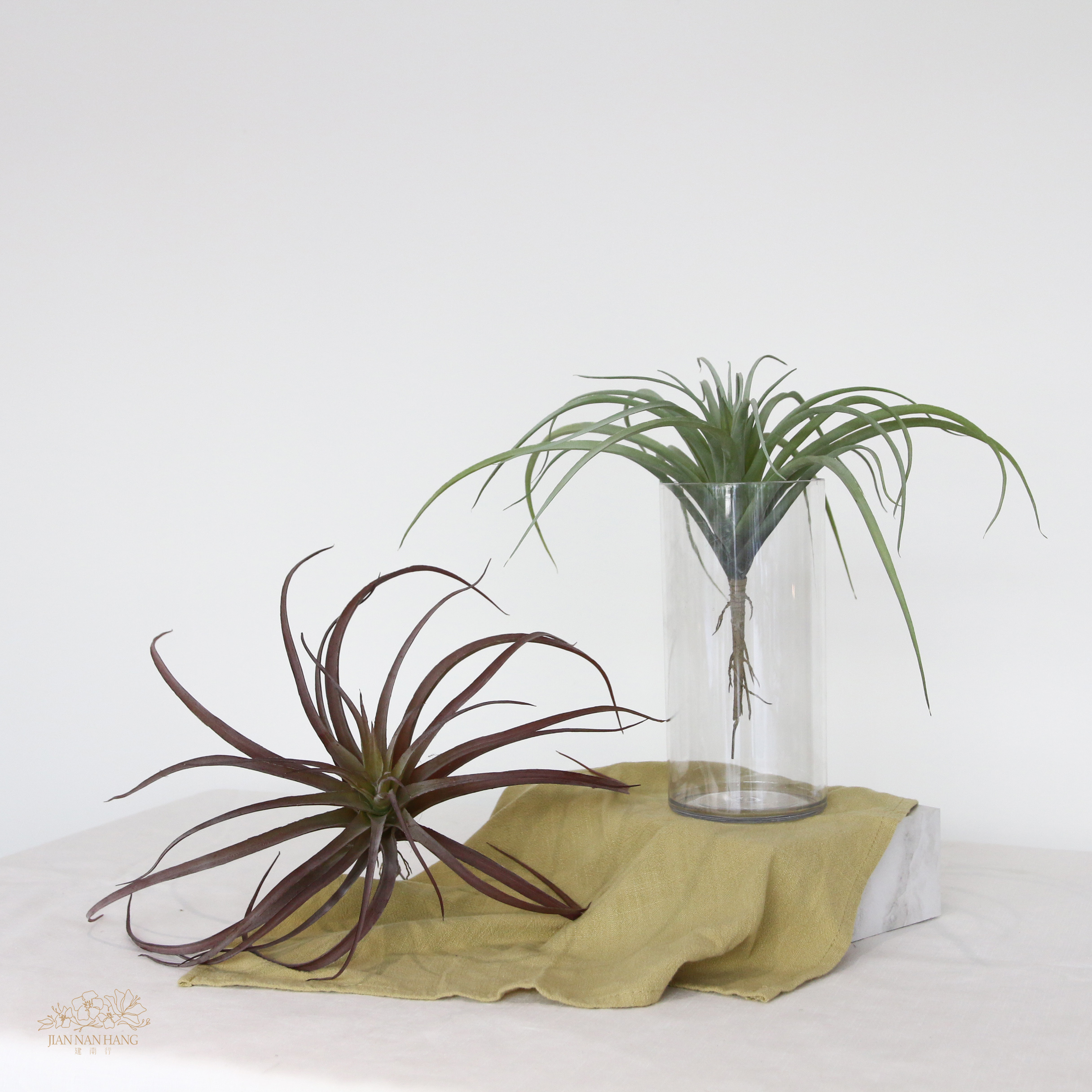 人造多肉 空氣鳳梨 2色