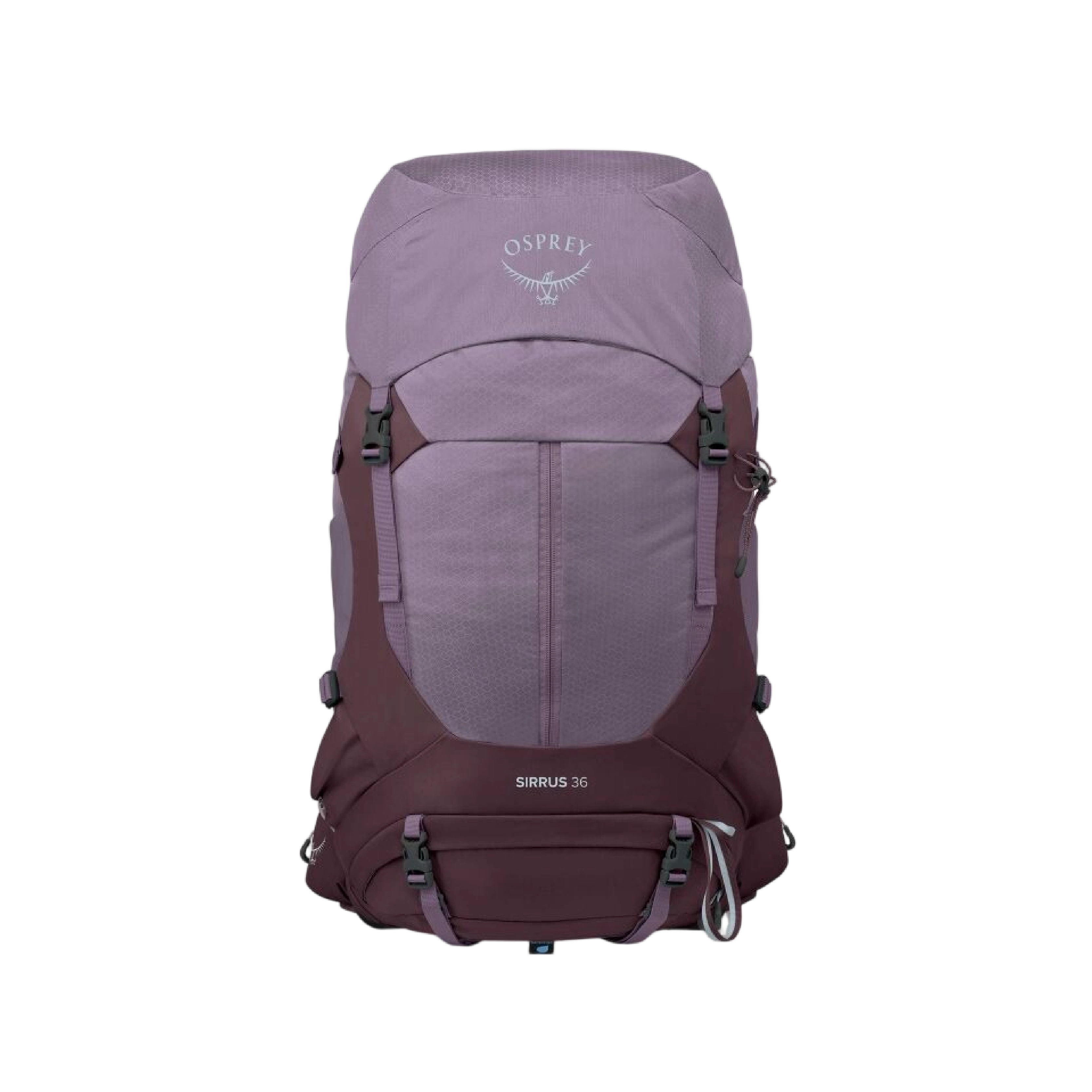 Osprey 美國 Sirrus 36L (紫色黃昏色) 72OS007522