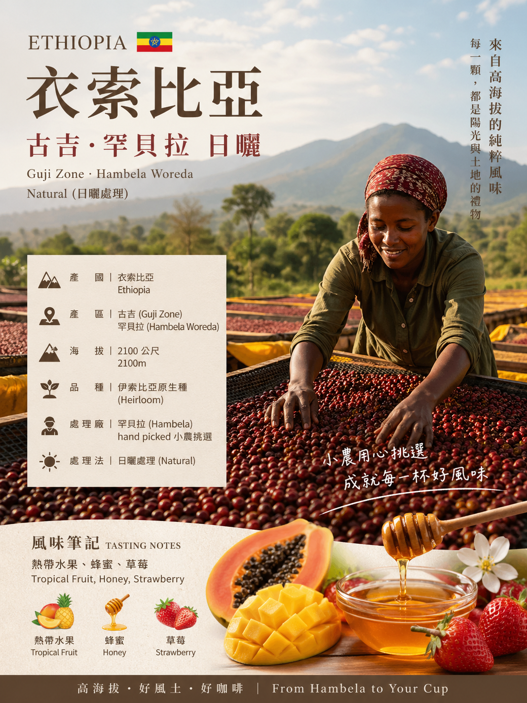 衣索比亞牡丹G1買一送一（半磅裝）