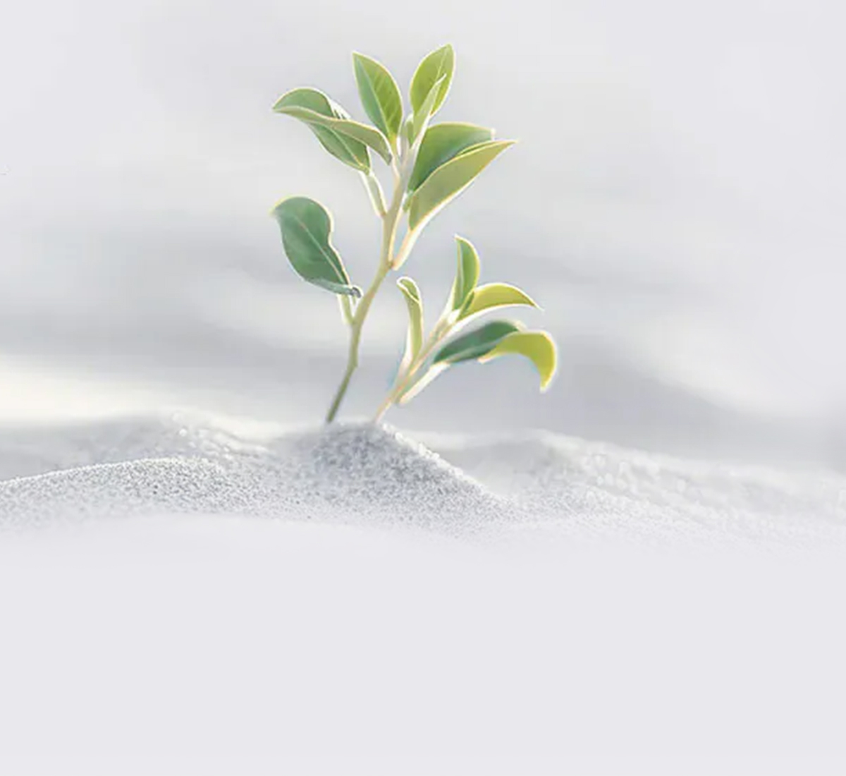 活動專區-短效品專區