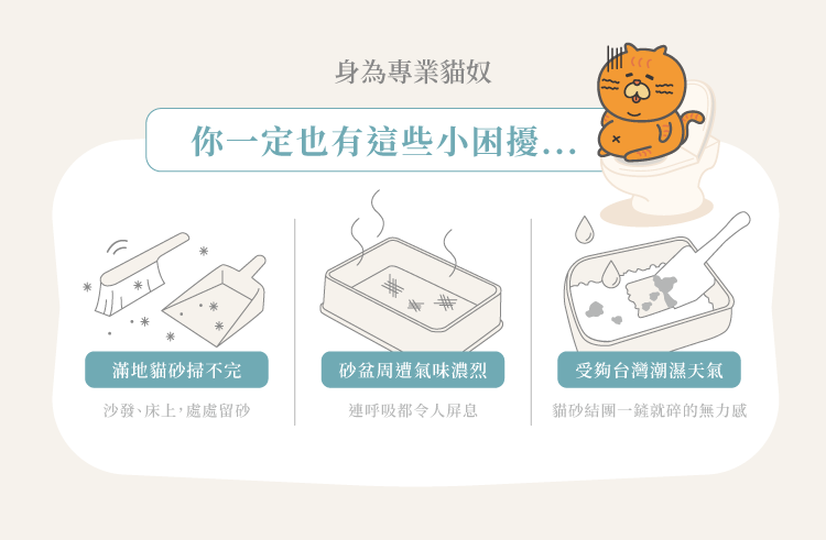 99%減少落砂條形木薯豆腐砂專為台灣天氣設計