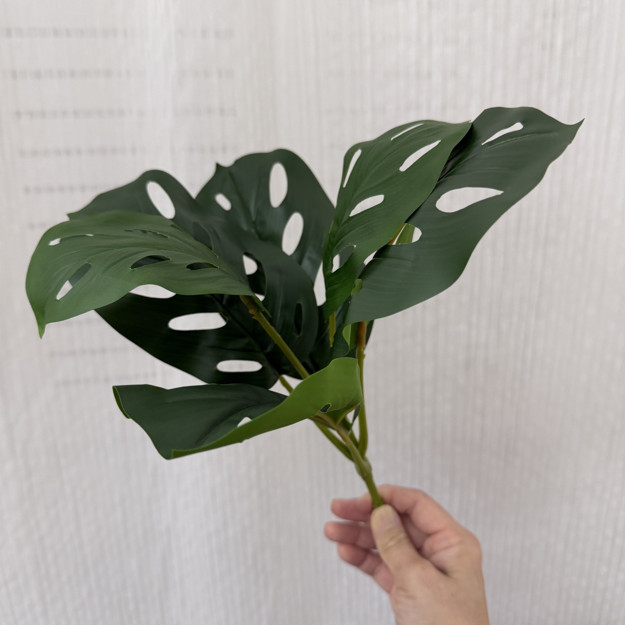 仿真膠桿洞竹葉 (龜背、觀音芋)