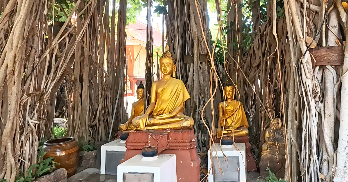 坤平佛的法相是佛陀，目的是幫助眾生，不是跟你做高利貸式的靈性交易。