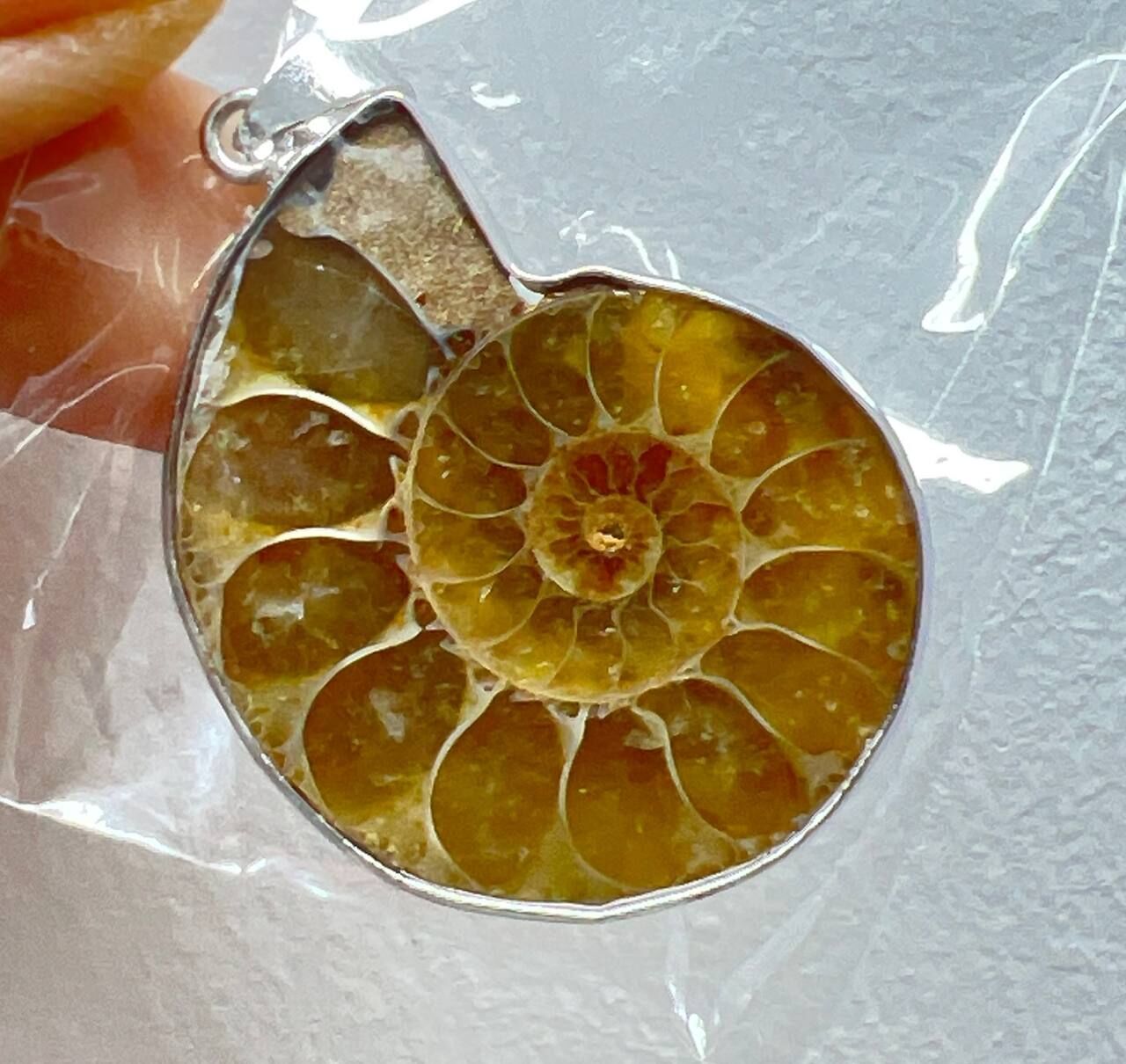 [S] GEMZ & CO DDK MINI AMMONITE FOSSIL PENDANT, C89 (C89)