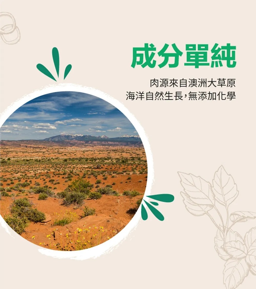 袋鼠廚房-野生袋鼠