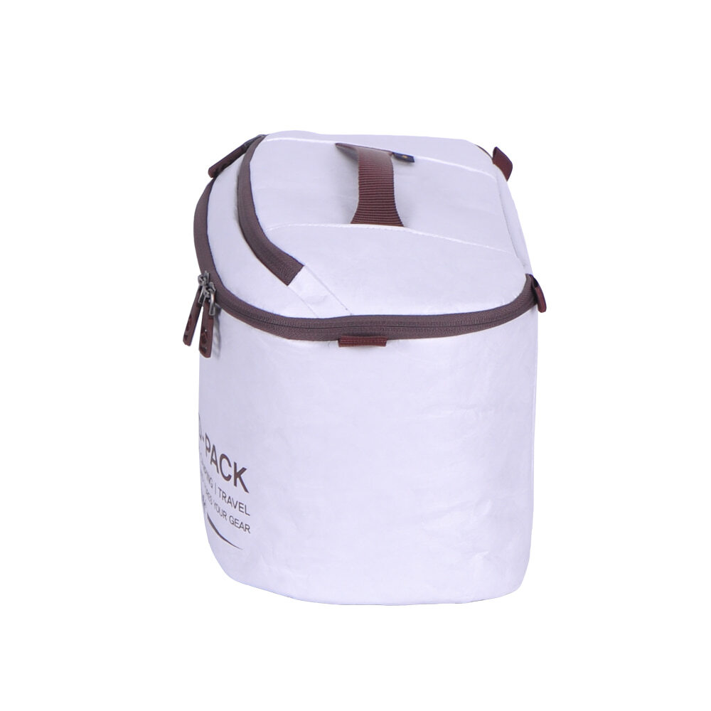 韓國 Mystery Wall D-Pack 3.0 Tyvek Small 軟式冰袋