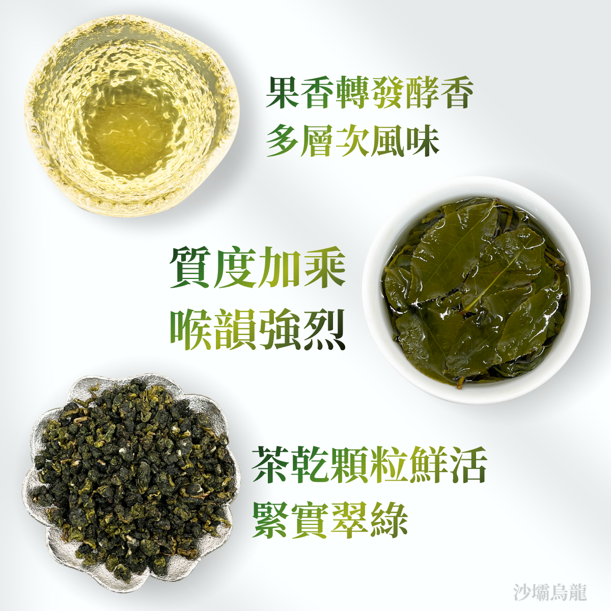 越南沙壩烏龍｜稀有產地、高海拔、多層次細膩風味【不適用折扣商品】