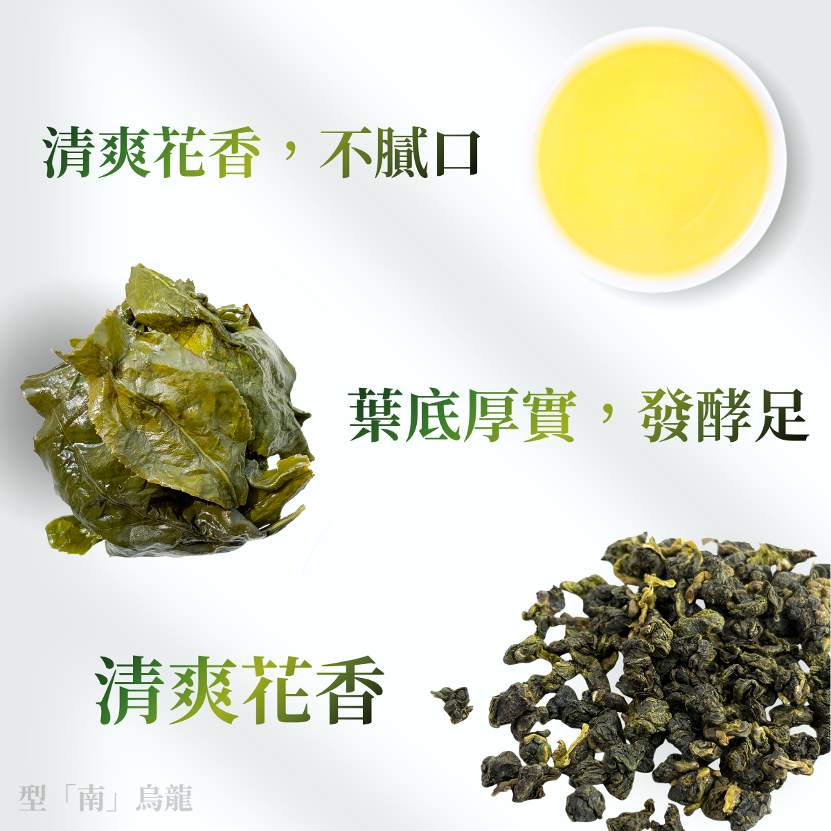 型「南」烏龍 - 清香、茶氣明顯、柔順回甘