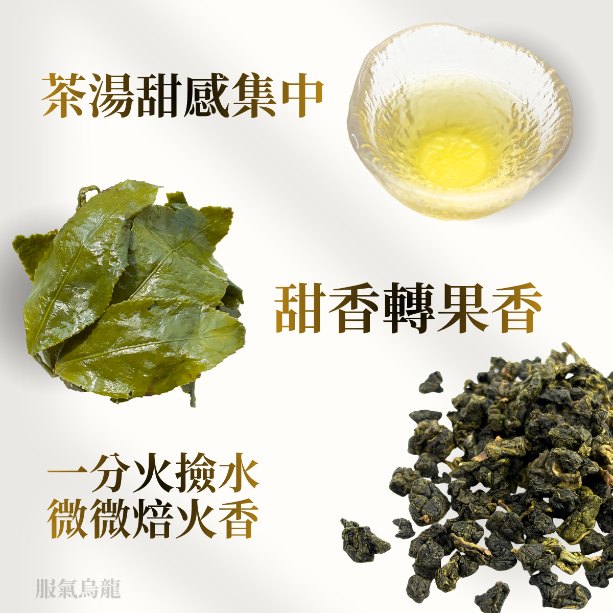 服氣烏龍｜半生熟、果香，尾韻轉甜香 茶好玩再次用品質讓你服氣！