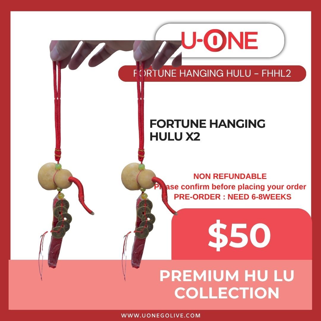 FORTUNE HANGING HULU - FHHL2