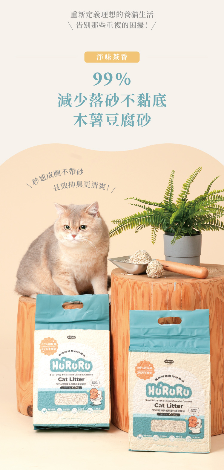 品種貓推薦木薯豆腐砂成團不帶砂