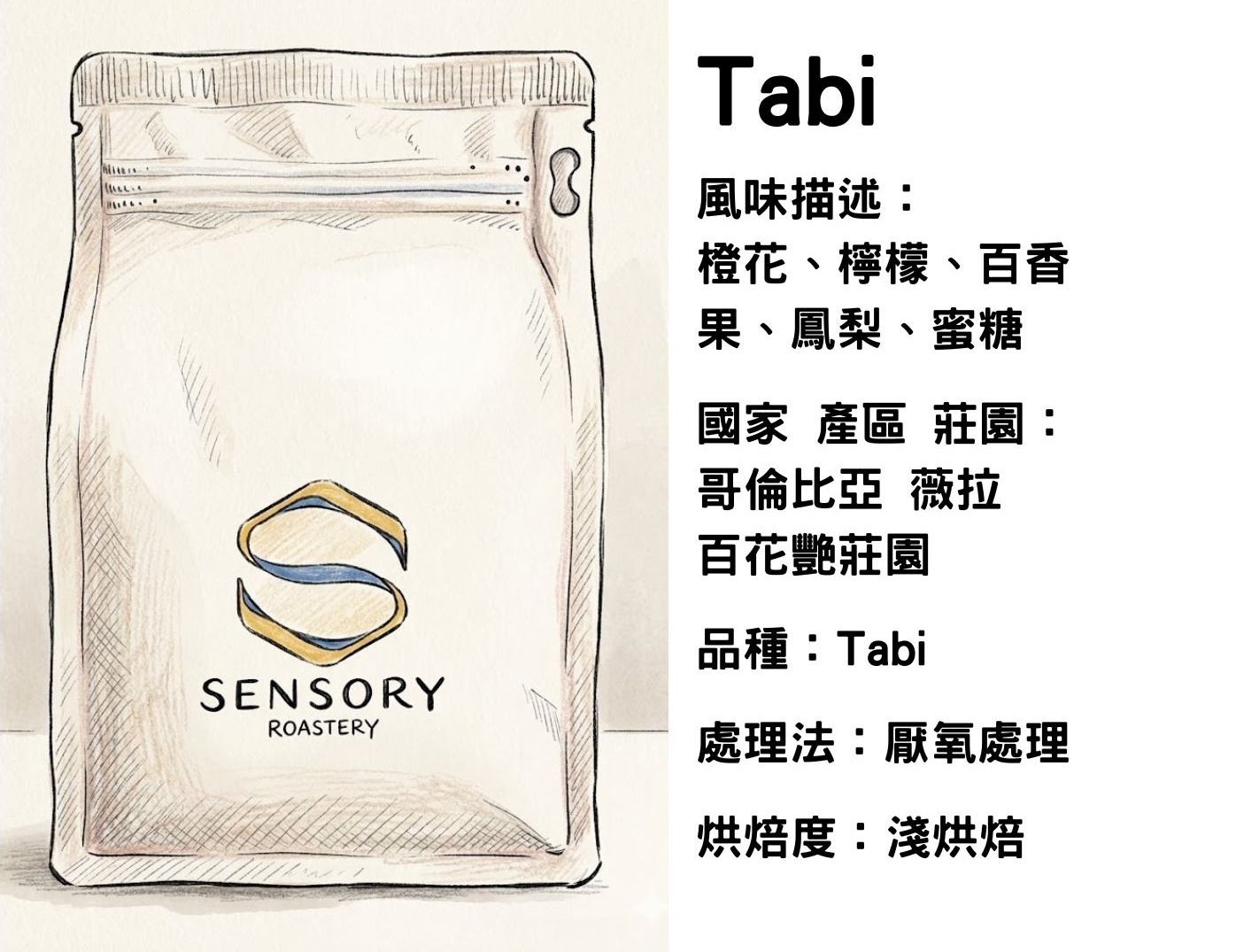 Tabi｜哥倫比亞｜淺烘焙｜厭氧日曬｜Tabi