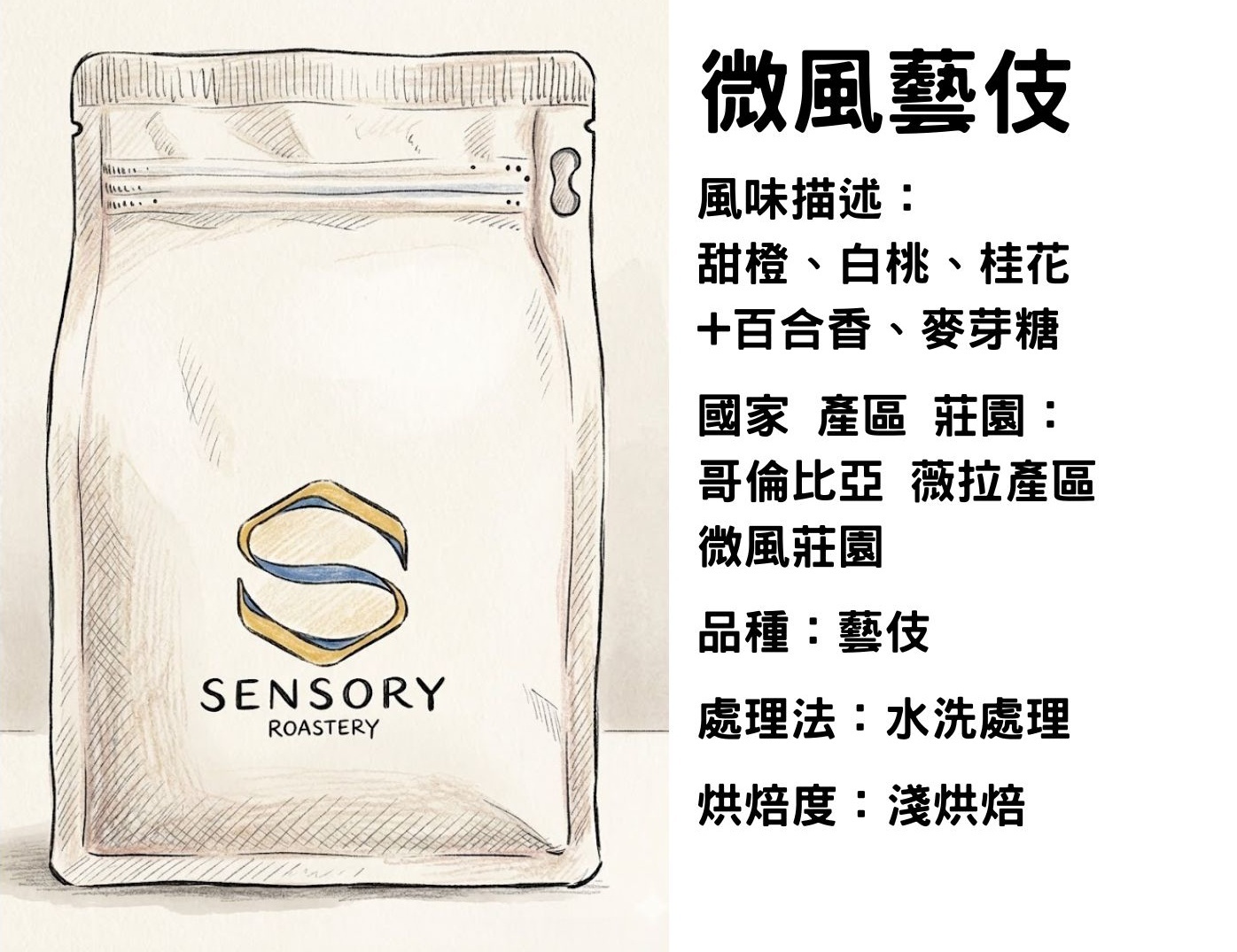 微風藝伎｜哥倫比亞｜淺焙｜水洗｜藝伎