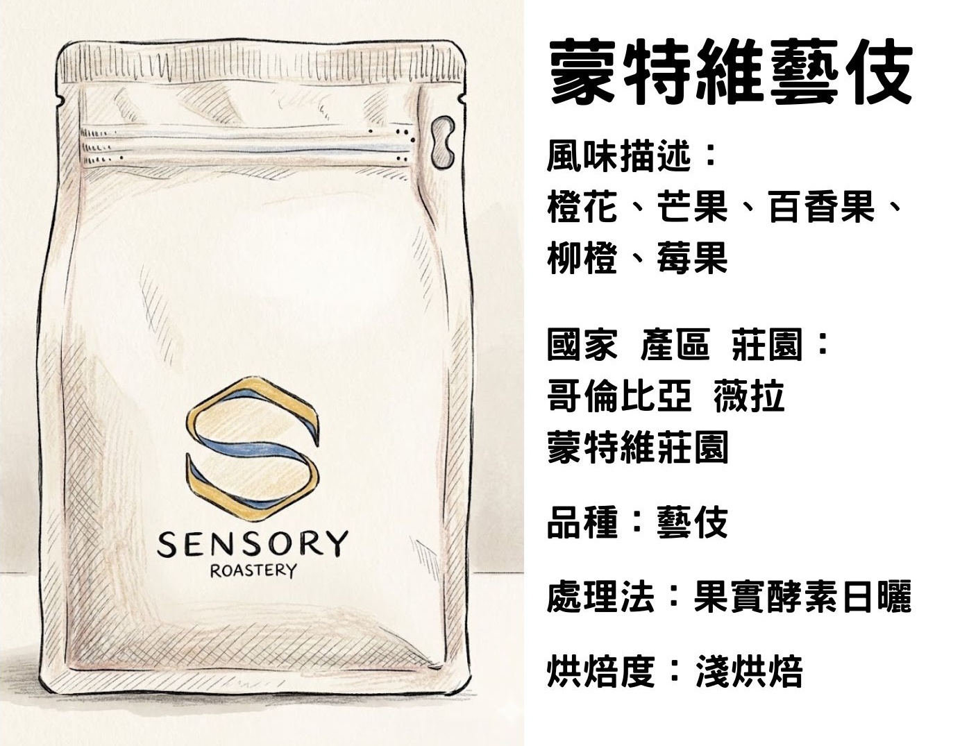 蒙特維藝伎｜哥倫比亞｜淺焙｜果實酵素日曬｜藝伎