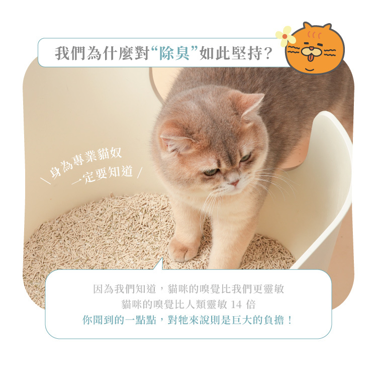 超除臭三效豆腐砂