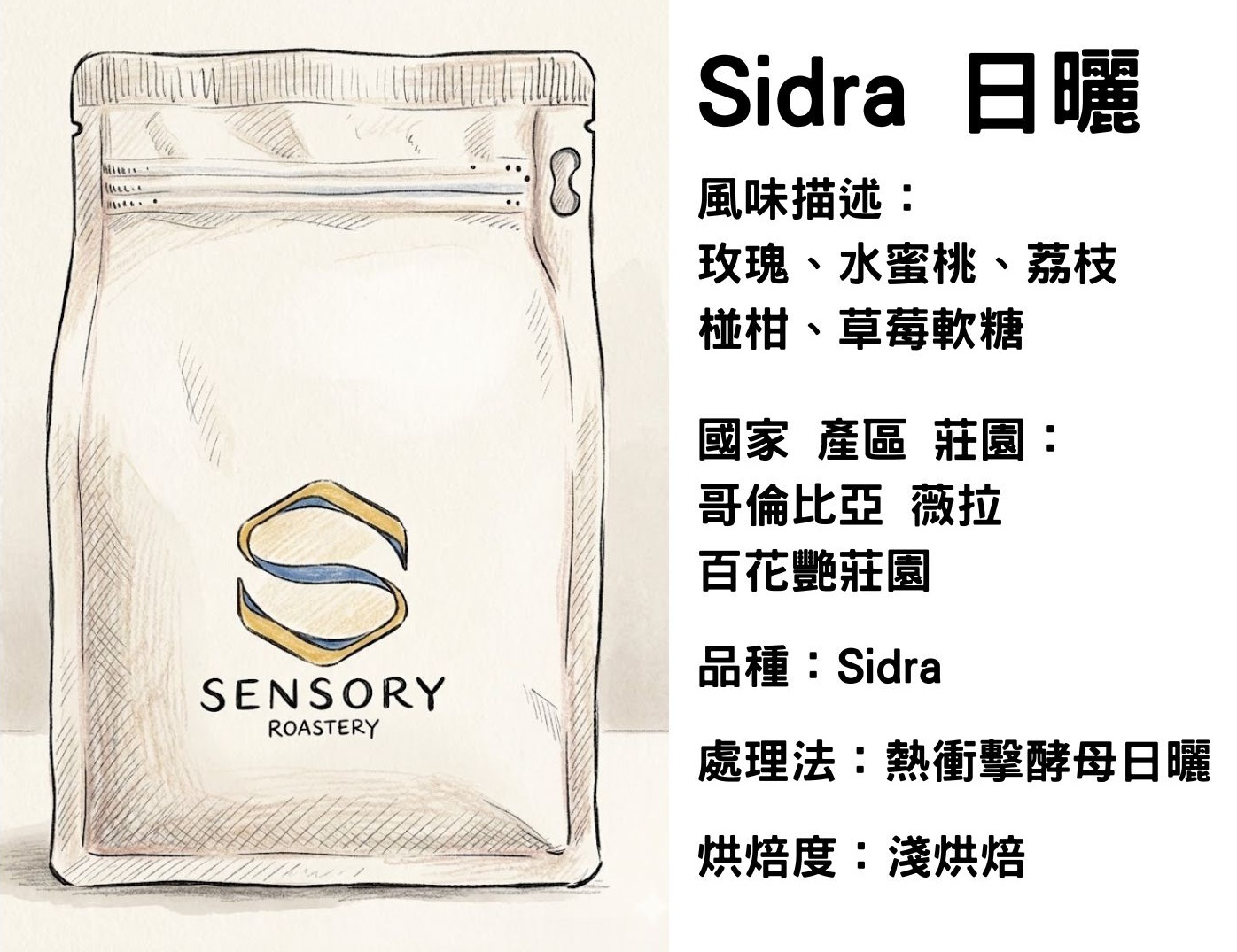 Sidra日曬｜哥倫比亞｜淺焙｜熱衝擊酵母日曬｜Sidra