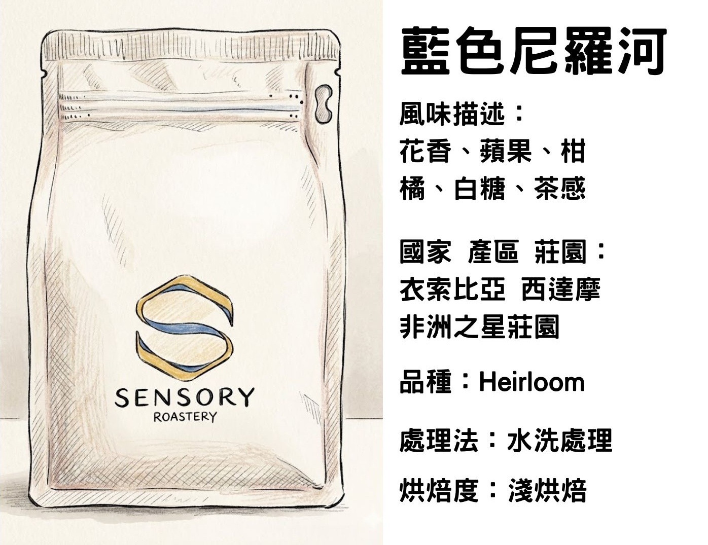 藍色尼羅河｜西達摩｜淺焙｜水洗｜ Heirloom