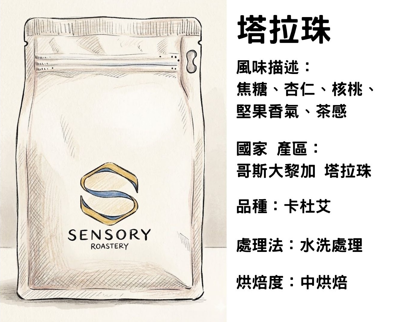 塔拉珠｜哥斯大黎加｜中焙｜水洗