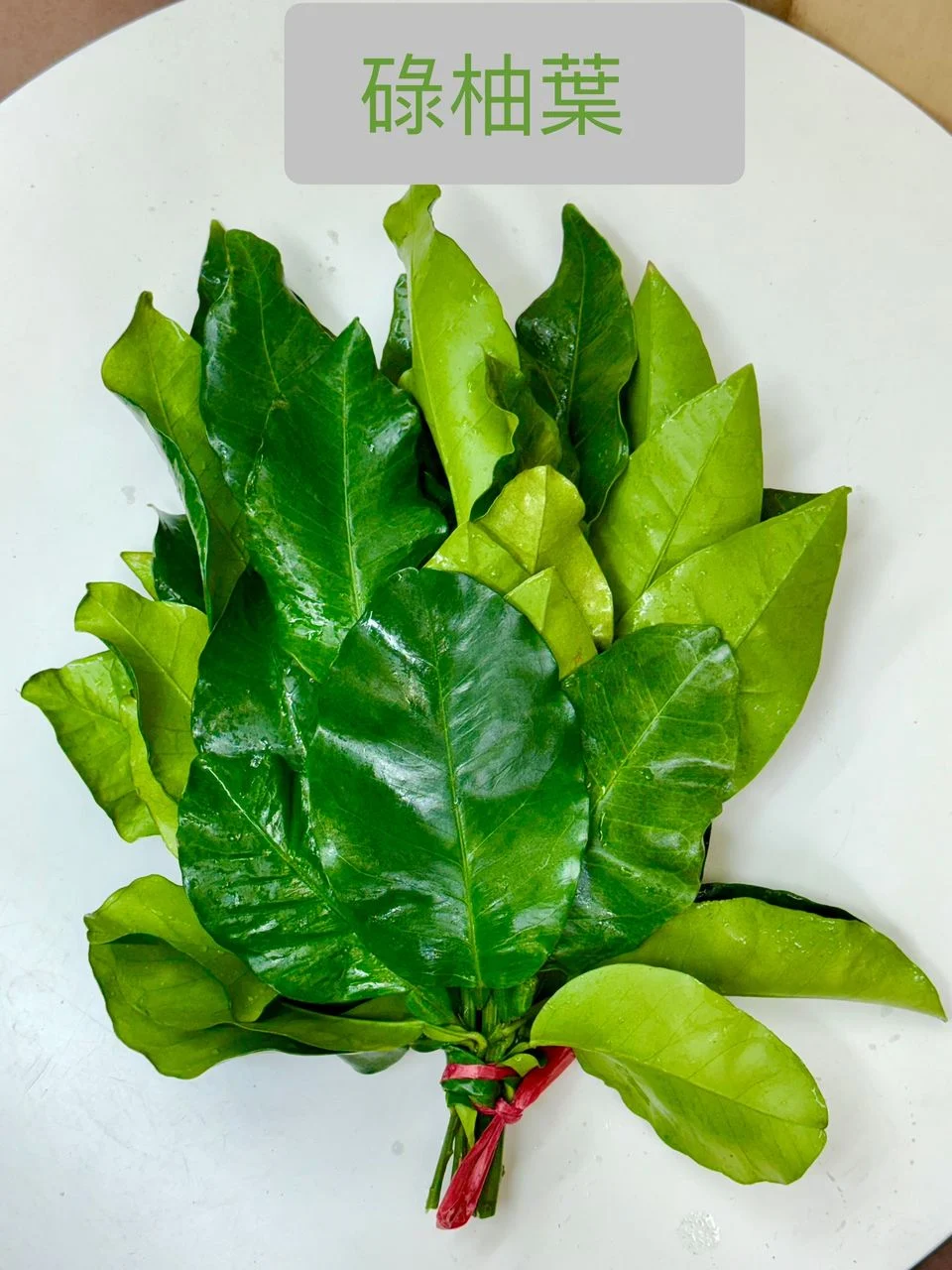 W -Lucky Pomelo Leaf