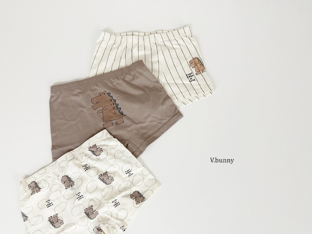 正韓夏Vbunny 男孩恐龍直條內褲組