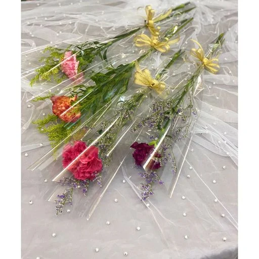 W - Carnation B