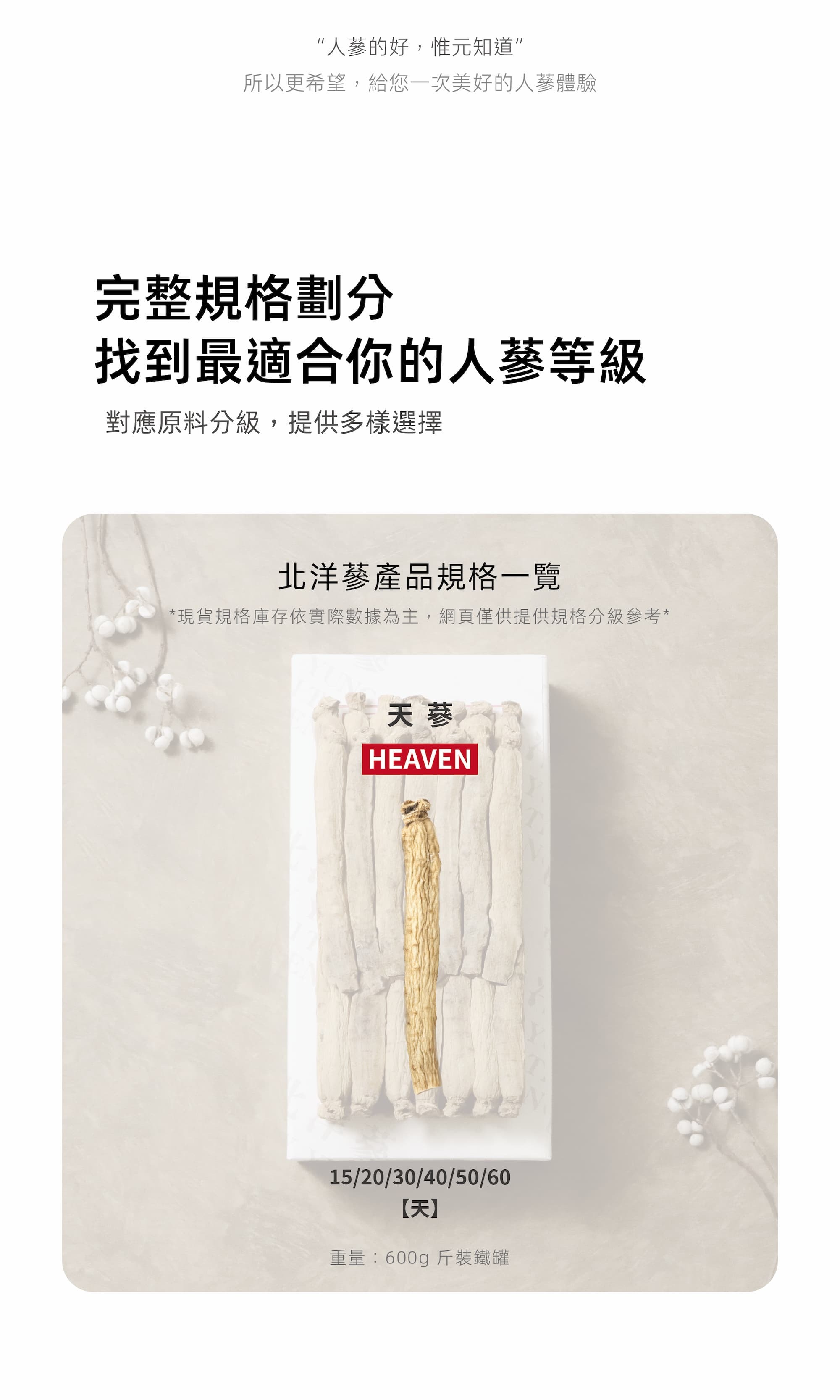 北洋蔘規格介紹