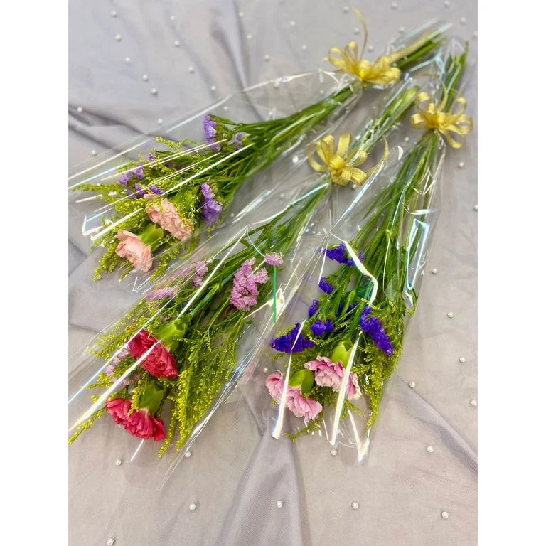 W - Carnation A