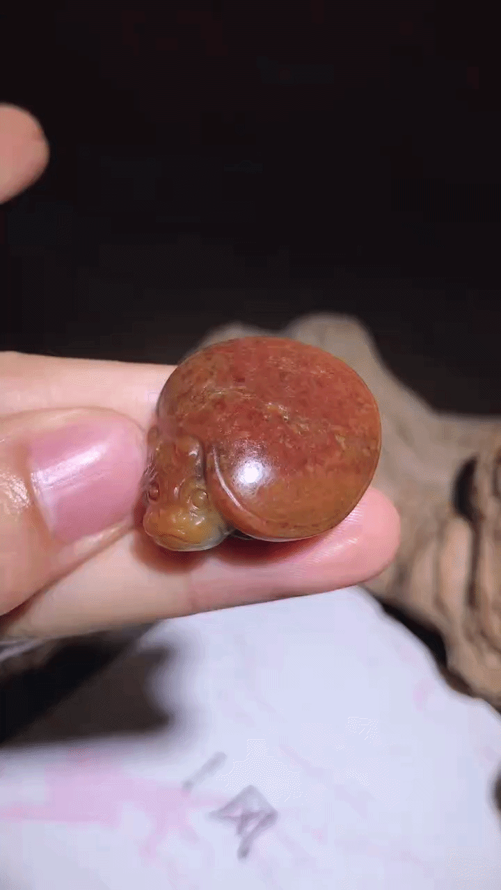 414741 和田玉籽料龍龜