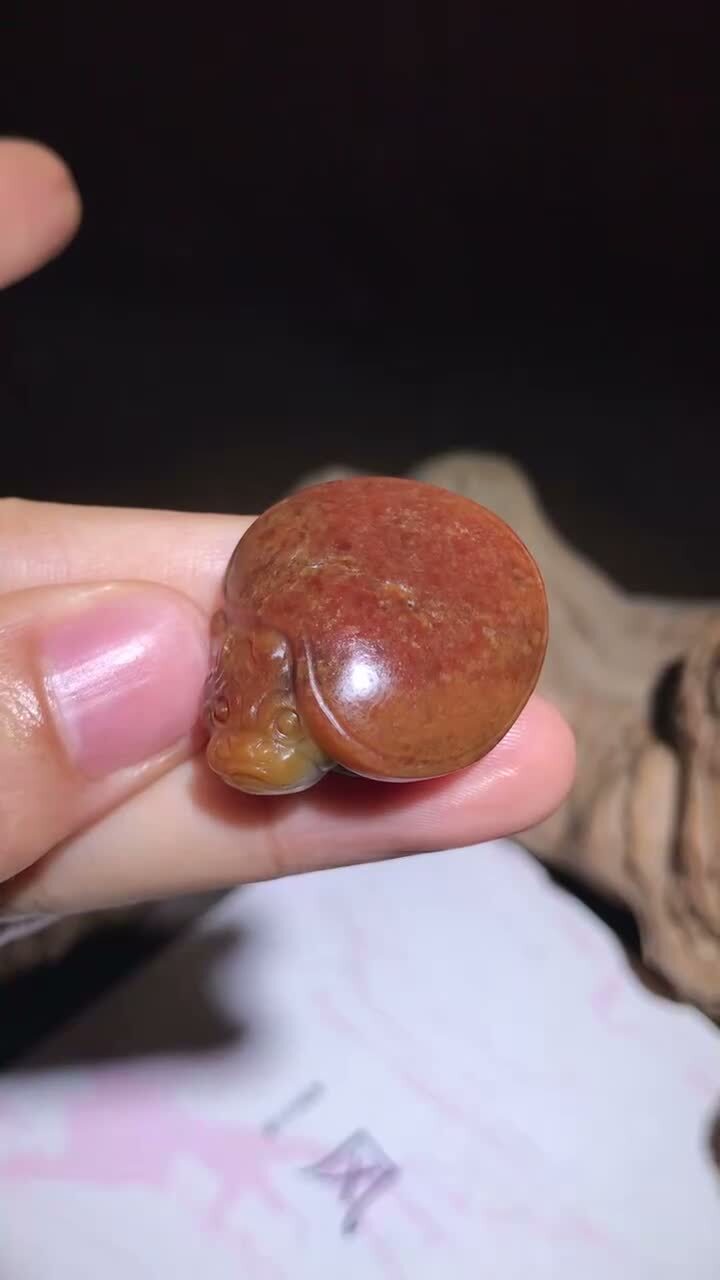 和田玉籽料龍龜,天然和田玉軟玉