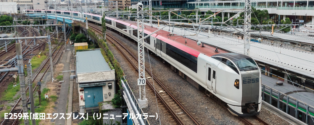 Kato 10-2170 N規 E259系列「成田特快」（新配色）基礎套裝（3節車廂）