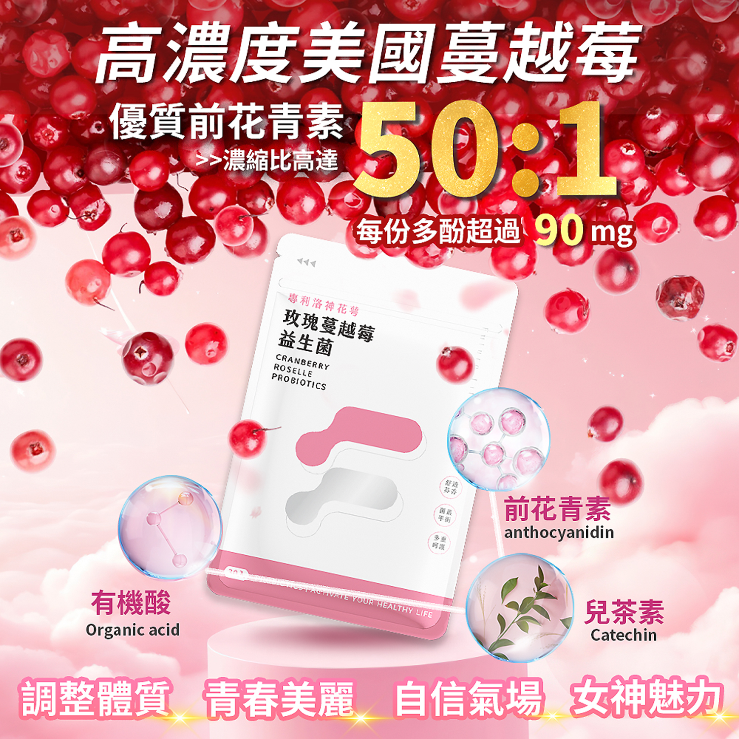 【蔓蔓有體力】蔓越莓益生菌30粒1包+酵母薑黃B群30粒1包