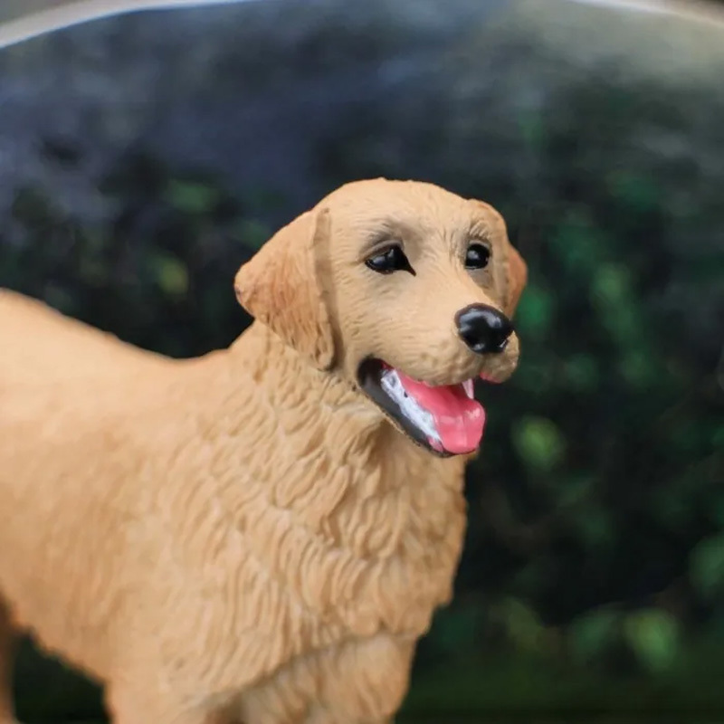 黃金獵犬
