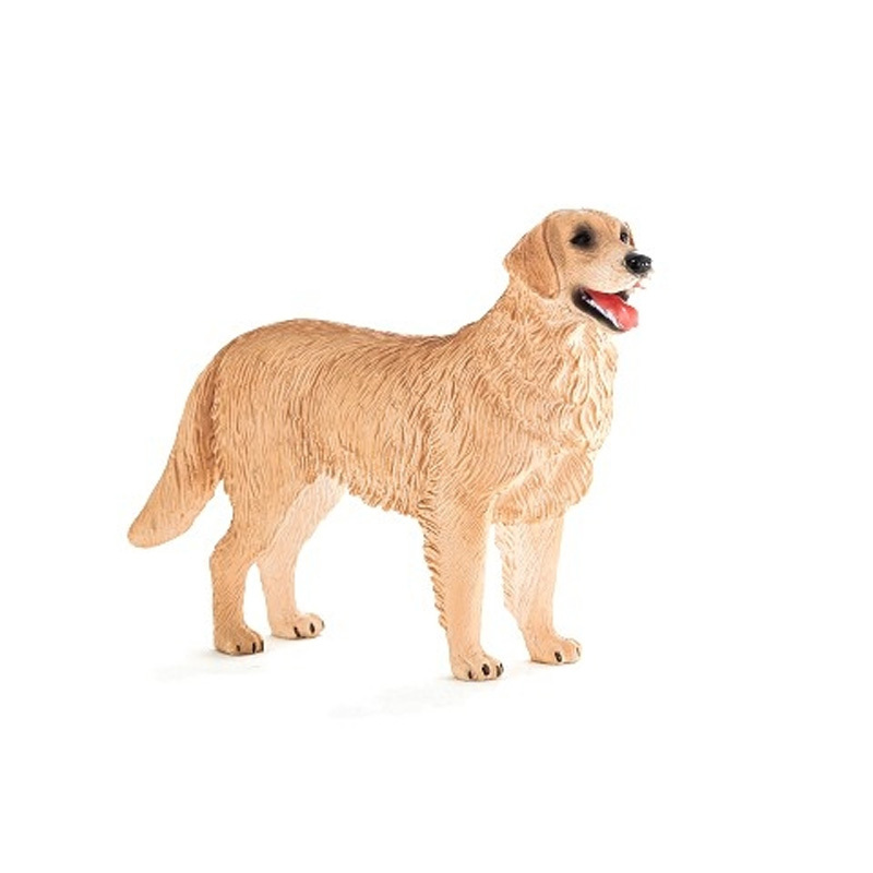 黃金獵犬