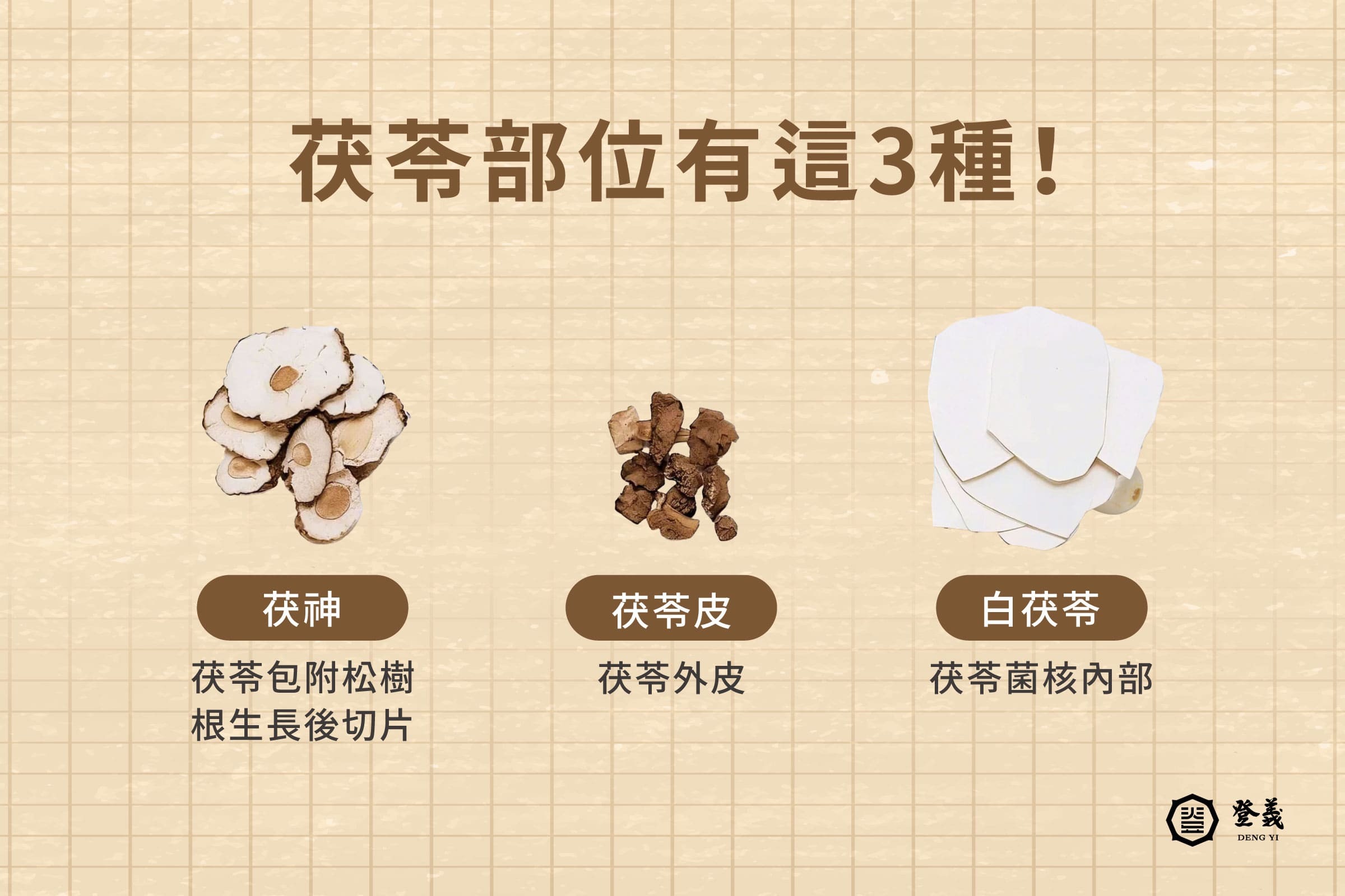茯苓部位介紹