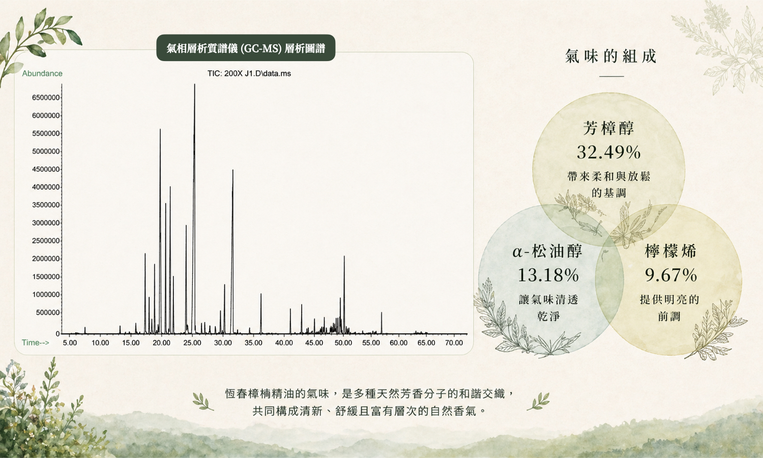 小村遠遠研萃｜恆春楨楠精油，氣相層析質譜圖