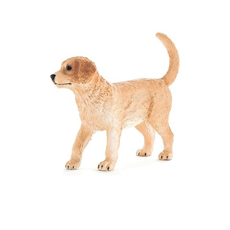 黃金獵犬幼犬