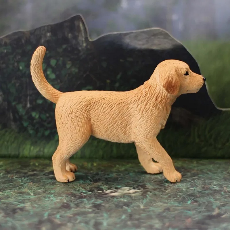 黃金獵犬幼犬
