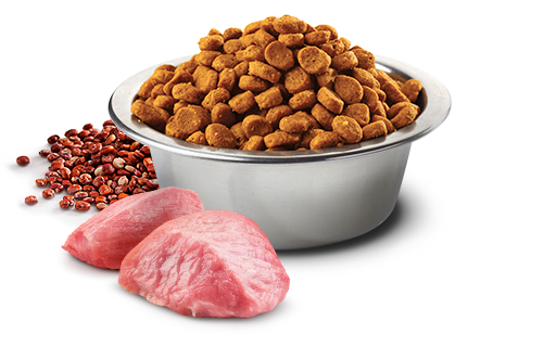 N&D – 天然藜麥無穀機能系列 - 高齡貓專用 羊肉&椰子 Senior Lamb and Coconut 1.5kg